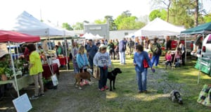 People with their dogs at the Ashland Farmer's Market