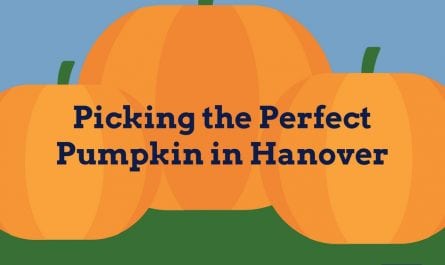 Picking the perfect pumpkin in Hanover